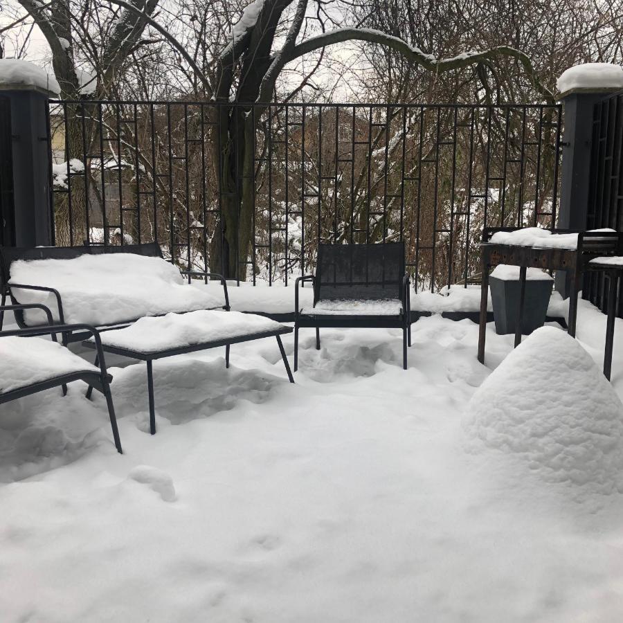 Garden Apartament Petrila エクステリア 写真